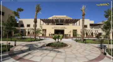 تخصص المستقبل الواعد.. جامعة الملك سلمان تفتح باب القبول ببرنامج الرسوم المتحركة المبتكر شروط وخطوات التقديم 1